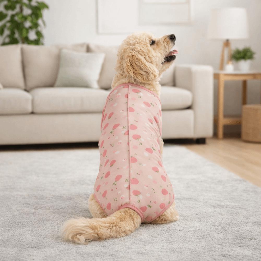 Animal Print Dog Recovery Suit Cotton Dog Sterilization Suit Dog Jumpsuit Wound Protection