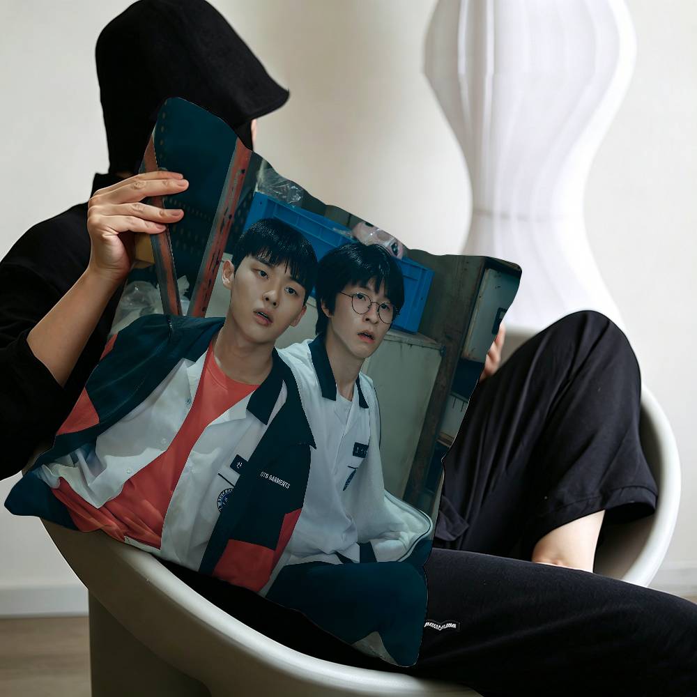 Movie WWeak Hero Class B Cushion Cover Polyester Sofa Cushions Decorative Throw Pillows Home Decoration Pillowcover