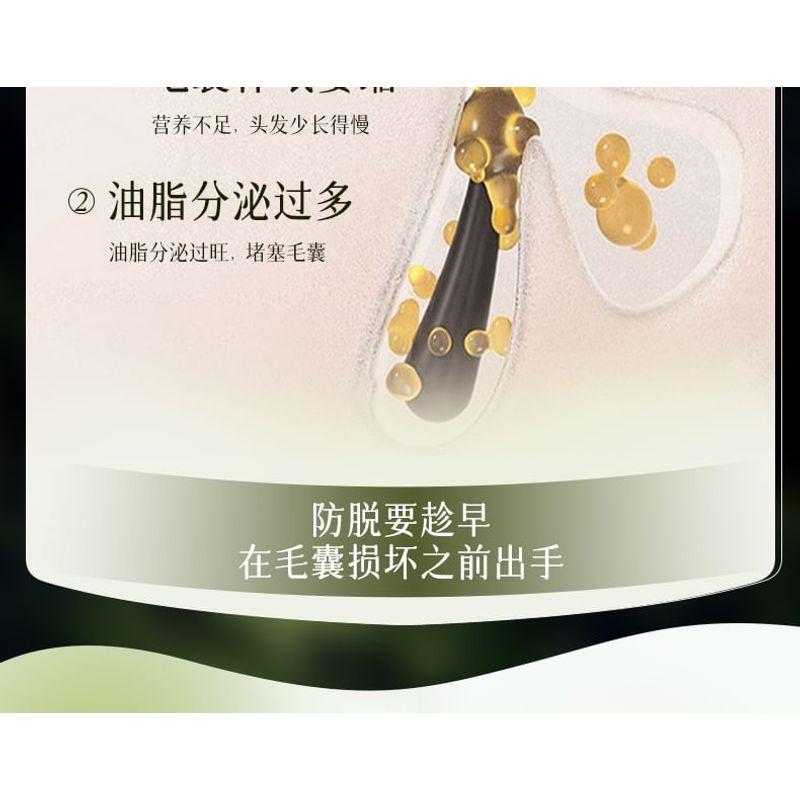 ZOOLY - No.1 Anti Hair Loss Scalp Care Shampoo - 2 Sizes
