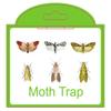 Главная Кухня и одежда Кладовая ловушки для моли с феромонами Prime Clothes Closet Moth Traps Magic Moth Catcher