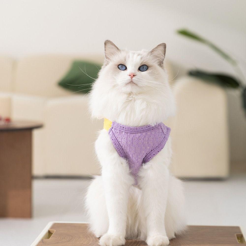 Мультяшный жилет для собаки, дышащая одежда для щенка, товары для питомцев, тонкая футболка для собаки, кошки