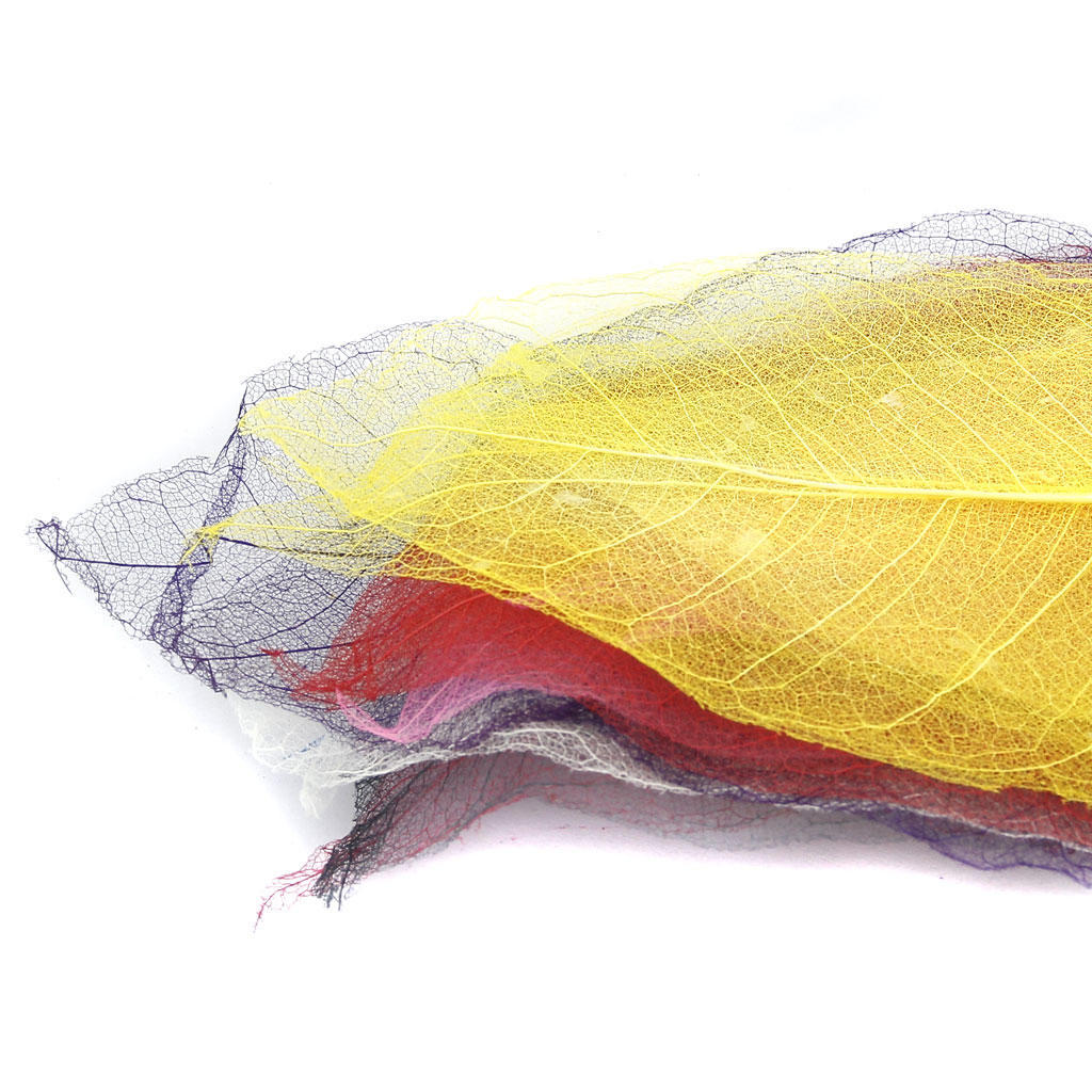 MIT 10 шт. Натуральная магнолия скелетные листья листья карты скрапбукинг смешанные цвета