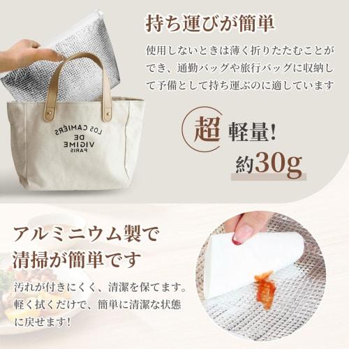 Large Capacity Insulated Lunch Bag with Ice Pack Pocket, Foldable, Aluminum Reinforced Zipper, Keeps Food Cold and Warm for Long Hours, Perfect for Ri