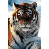 5D DIY Diamond Painting Full Round Drill Tiger Animal Rhinestones Diamond Embroidery Cross Stitch Mosaic Wall Art Home Decor