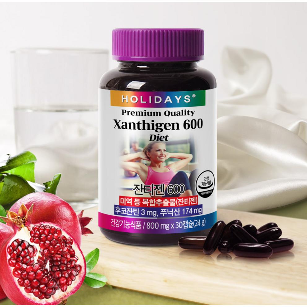 Holidays Zantigen 600, 30 Tablets, 1 Pack - Premium Fat Burning Supplement