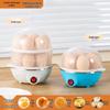 Stainless Steel Multifunctional Egg Cooker with Automatic Power-Off