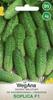 Cucumber Ground Soplica F1 4g Vegetable Seeds -