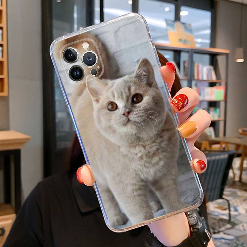 Чехол для телефона с британским короткошерстным котом для iPhone 14 13 12 11 Pro Max XS X XR SE 2020 6 7 8 Plus Mini Transparent Shell