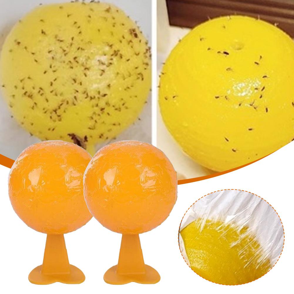5pcs Ball Fruit Fly Catcher Pest Control Sticky Trap Insect Shaped Traps Insects Ball Citrus Fl N7I3
