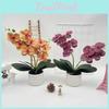 Artificial Phalaenopsis Flower Pot For Outdoor Garden Wedding Decor Photography Props And Home Decor