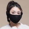 1pc-Winter Mask Warm Mask Full Cover Face Mask Outdoor Windproof Mask Breathable Thickened Dustproof Reusable Mask
