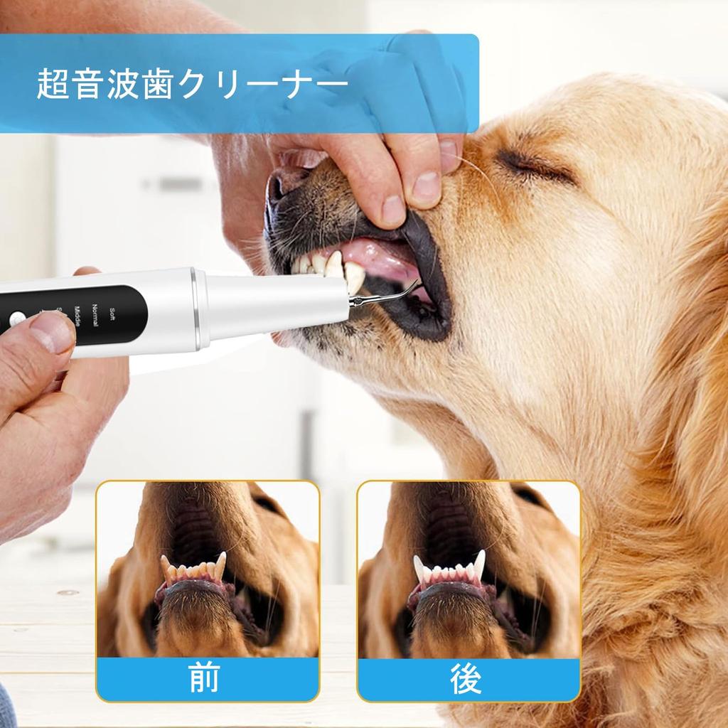 BOJNGEWIN Ultrasonic Teeth Dog USB 5 Adjustable LED Cleaning IPX6 for Cats and Dogs Cleaner, Toothbrush, Rechargeable, Modes, Built-in Lighting, Kit,