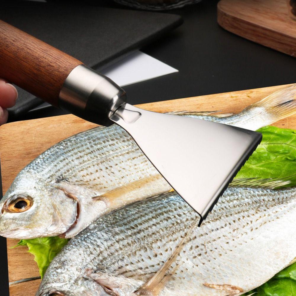 Wood/Plastic Handle Fish Scale Remover Fast Removal Fish Scale Scraper  Seafood Tools