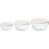 HARIO Glass Storage Made In Set of 3 Heat-Resistant Containers, White, Japan, SYTN-2518-OW,