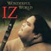 CD ISRAEL KAMAKAWIWO'OLE - Wonderful World BBCD5911 Big Boy Record 2007 US Rock Used