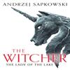 The Lady of the Lake by Andrzej Sapkowski Paperback Book 9781399611459