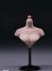 YMTOYS YMT092 Женский бюст-подставка для масштабных фигурок, не белая кожа [TOYBARJAPAN] 1/6 (Голова включена) (B Жемчужина)