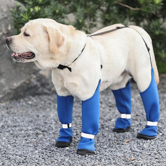 Водонепроницаемые сапоги для собак, регулируемые, с защитой лап, противоскользящие, с подтяжками, для прогулок на свежем воздухе