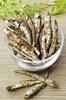Tsumami Kura Domestic Dried Sardine Snack Sardine Crackers Thin Baked Edible Dried Sardines Delicacy Rich in Calcium 450g