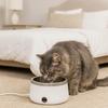 Ultra Quiet Heating Dog Bowl Stainless Steel Cat Water Fountain  Multi-Pet Household