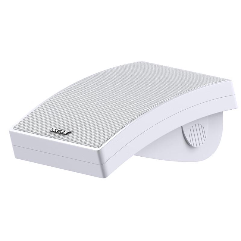 SAST Commercial Wall-Mounted Public Address Speaker CN plug (adapter included)