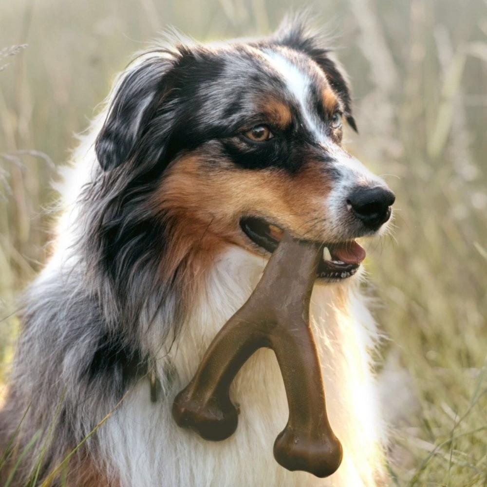 Long Lasting Dog Chew Bone Toy Bacon Dog Tooth Stick Toy Durable Dog Chew Toy Large Medium Dogs