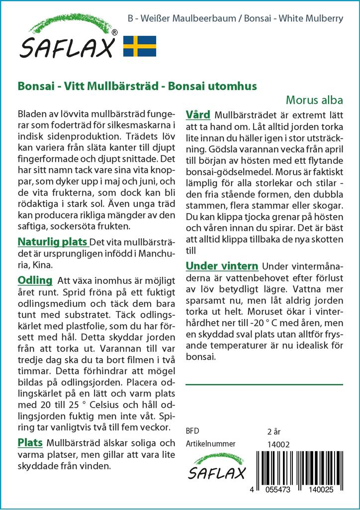 SAFLAX Бонсай - Белая шелковица - 200 семян - С горшечным субстратом для лучшего выращивания - Morus alba