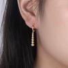 925 Sterling Silver Zircon Long Hoop Earrings Simple Light Luxury Golden Silver French Earrings