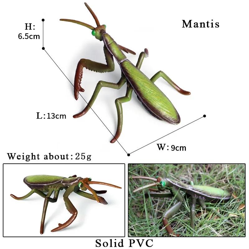 Oenux Симуляция Стрекоза Кузнечик Сороконожка Дикие Насекомые Животные Модель Фигурки Миниатюрная Образовательная Коллекция Детская Игрушка