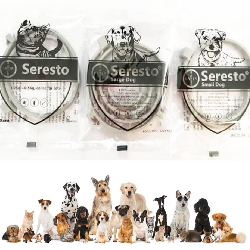 Ошейник для защиты от блох и клещей для собак и кошек - 8 месяцев защиты, без запаха и нежирный