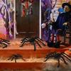 Party Supplies Prank Props Black Plush Spider Bar Ornament Halloween Decoration Haunted House