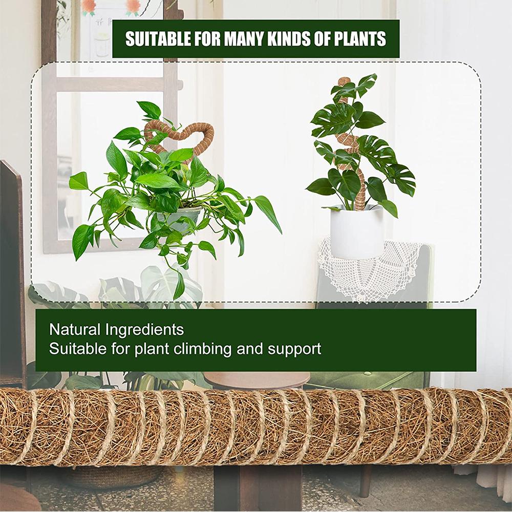 Моховая опора Идеально подходит для роста маленьких и средних вьющихся шпалерных растений в помещении