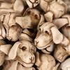 Набор из 20 костей и черепов собак из камня для Хэллоуина, вечеринки и тематического мероприятия