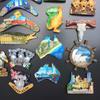 Австралия 3D магнит на холодильник сувенир подарок коллекция украшения магнитная наклейка магнит на холодильник