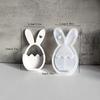 DIY Easter Rabbit Egg Flower Basket Silicone Mold Wall Pendant Plaster Drip Mold for Home Easter Party Decoration