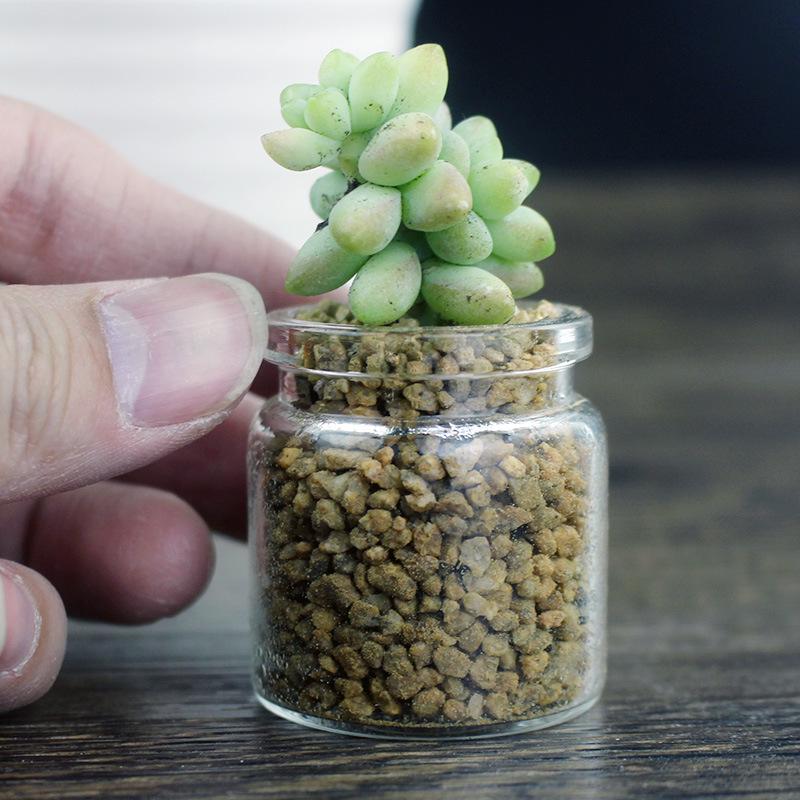 Маленькая стеклянная бутылочка с гравием из вулканической породы и морскими ракушками, 20 мл/50 мл, 30*40 мм