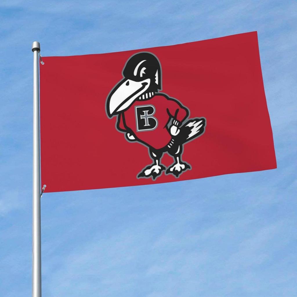 Флаг декоративный уличный Benedictine College 3 x 5 футов, садовый флаг, уличный одинарный флаг