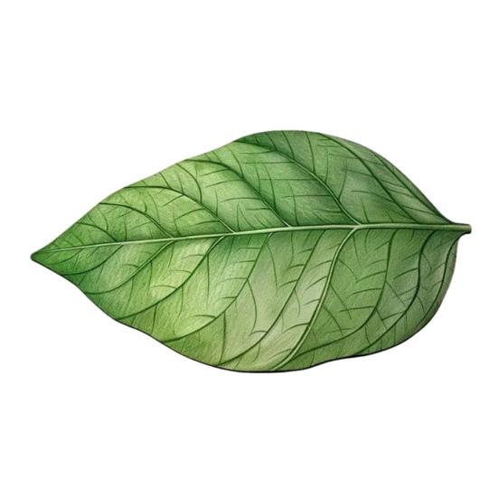 Коврик для ванной с рисунком зеленых листьев, нескользящий коврик для пола, ультратонкий, быстросохнущий, безопасный, устойчивый, тропический декор