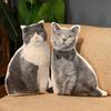 50СМ Симуляция Британская короткошерстная кошка Плюшевые игрушки 3D печать Животное Подушка-подушка Набивная Домашний декор Подарки на день рождения