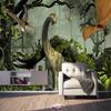 Фотообои на заказ, 3D стерео, динозавры, большие настенные панно, первобытный лес, декор для гостиной и спальни, настенные обои.