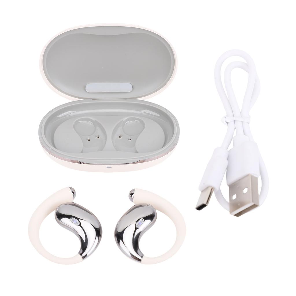 AI Translation Earbuds with APP 164 Languages Real Time Translator Wireless Earphones for Travel Business Learning