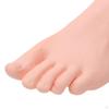 1:1 Female Flat Feet Foot Model Manicure Movie Props Drawing Reflexology Massage Practice Art
