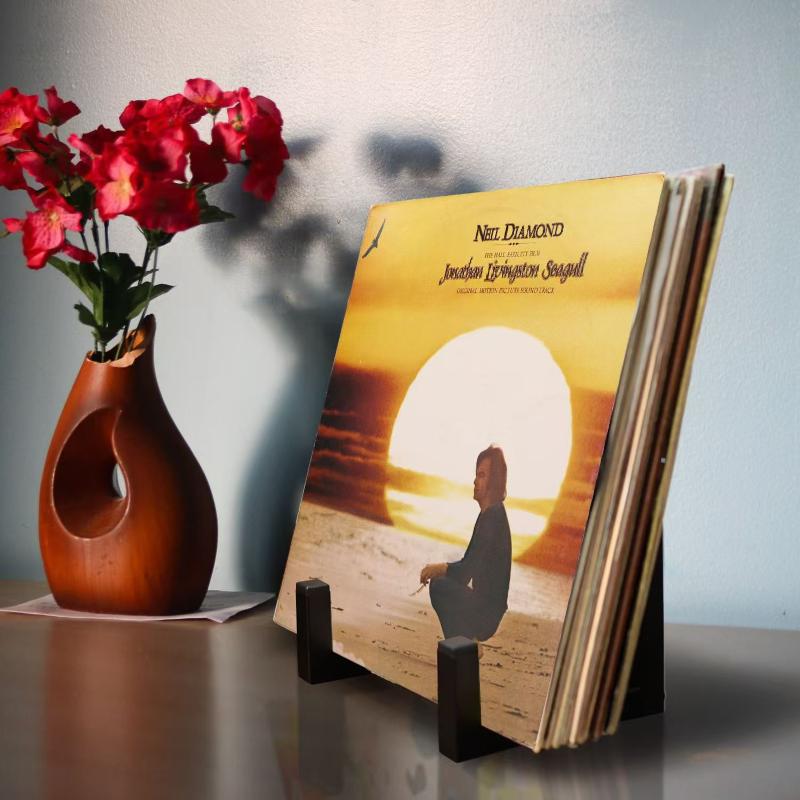 Металлический Виниловый Черный Держатель Пластинок Настольная Подставка-Дисплей Полка Для Хранения Домашний Офис Дисплей Для Принадлежностей Для Виниловых Пластинок