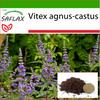 Monk’s Pepper - 30 Seeds - With Potting Substrate for Better Cultivation - Vitex Agnus-castus