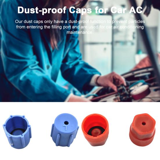 10Pcs/Set R134a Cap Set 16mm Red 13mm Blue Car Air Conditioner Dust Caps for AC System Charging Port Caps 5 Sets Blue Low Side 5 Sets Red High Side
