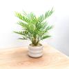 WillingYou Fake Green Tabletop Mini Artificial Fake Potted Plant Tropical Palm Tree Height inches with Pot Stylish Interior Goods No Care Required No
