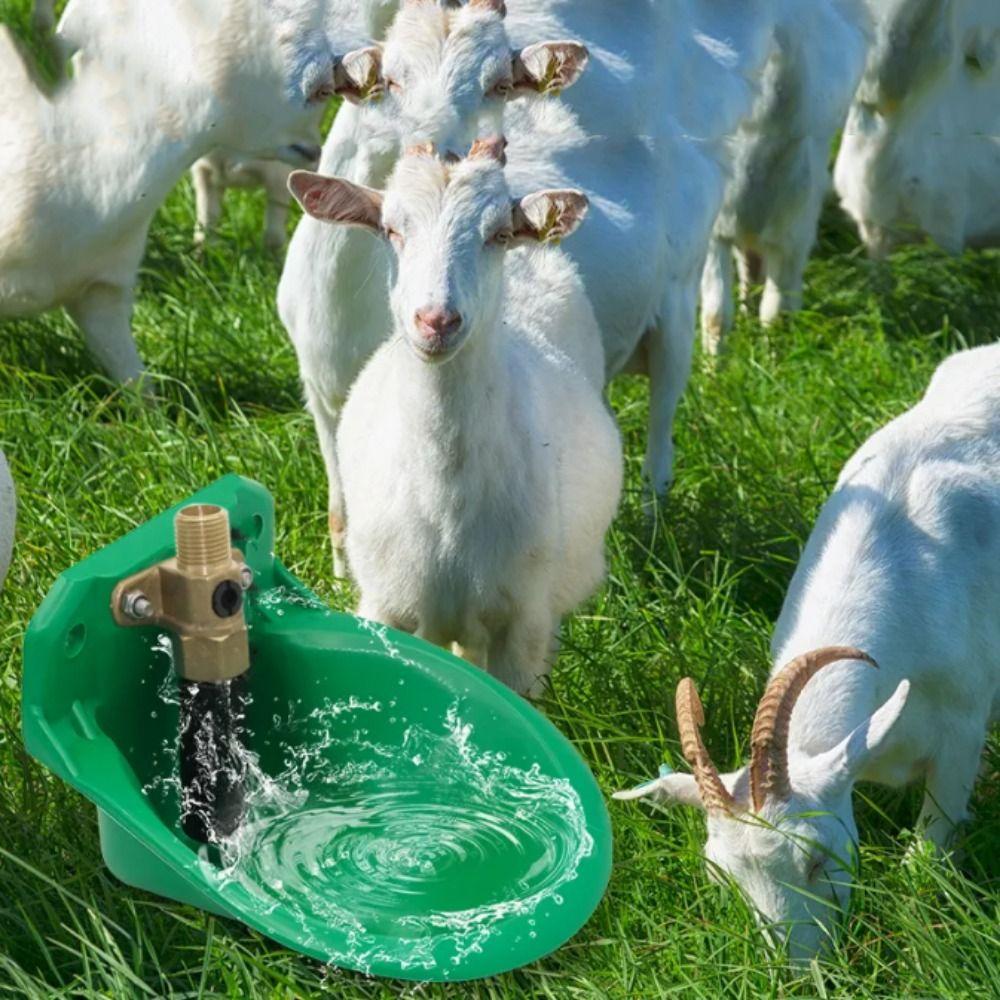 Copper Valve Sheep Goat Drinker Bowl Plastic Sheep Liquid Drinker Quality Sheep Water Fountain Cow