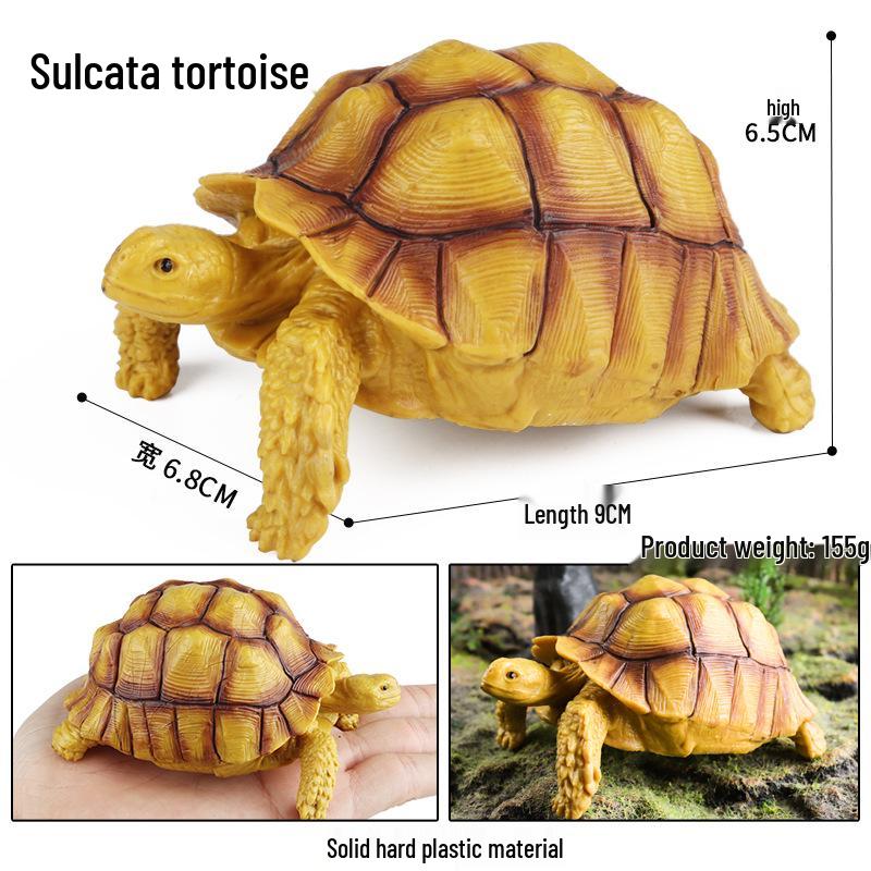 Children's Cognitive Marine Animal Models: Sea Turtle and Tortoise Toys