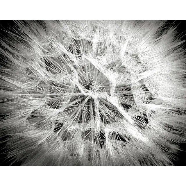 Черно-белые цветы подсолнуха, лилии, принты, постер, холст, живопись, современные настенные художественные картины для гостиной, спальни, домашний декор, без рамки