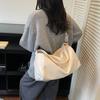 Popular Bags Women's Large-capacity Autumn and Winter Versatile Simple Messenger Bags Commuter Pillow Bags